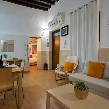 Apartment Santiago Terry *